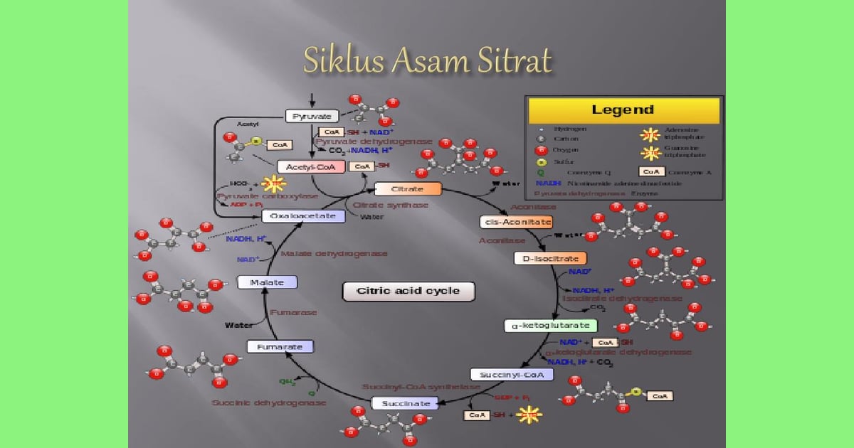 Asam Sitrat: Mengurai Tuntas Sejarah, Sifat Utama, Fungsi, dan Ragam Aplikasinya dalam Industri &amp; Kehidupan Sehari-hari - PPT - Sejarah