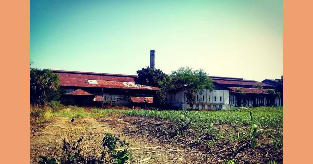 Gula: Mengungkap Sejarah, Karakteristik Unik, dan Segudang Manfaat serta Aplikasinya - Mengungkap Sejarah Pabrik