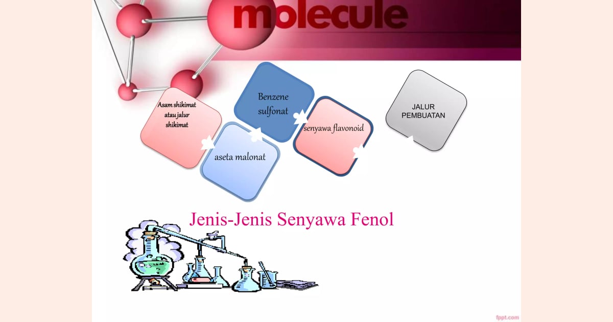 Menguak Rahasia Senyawa Fenol: Sejarah, Karakteristik, Fungsi Esensial, dan Pemanfaatannya dalam Berbagai Bidang - IIDENTIFIKASI KUALITATIF DAN