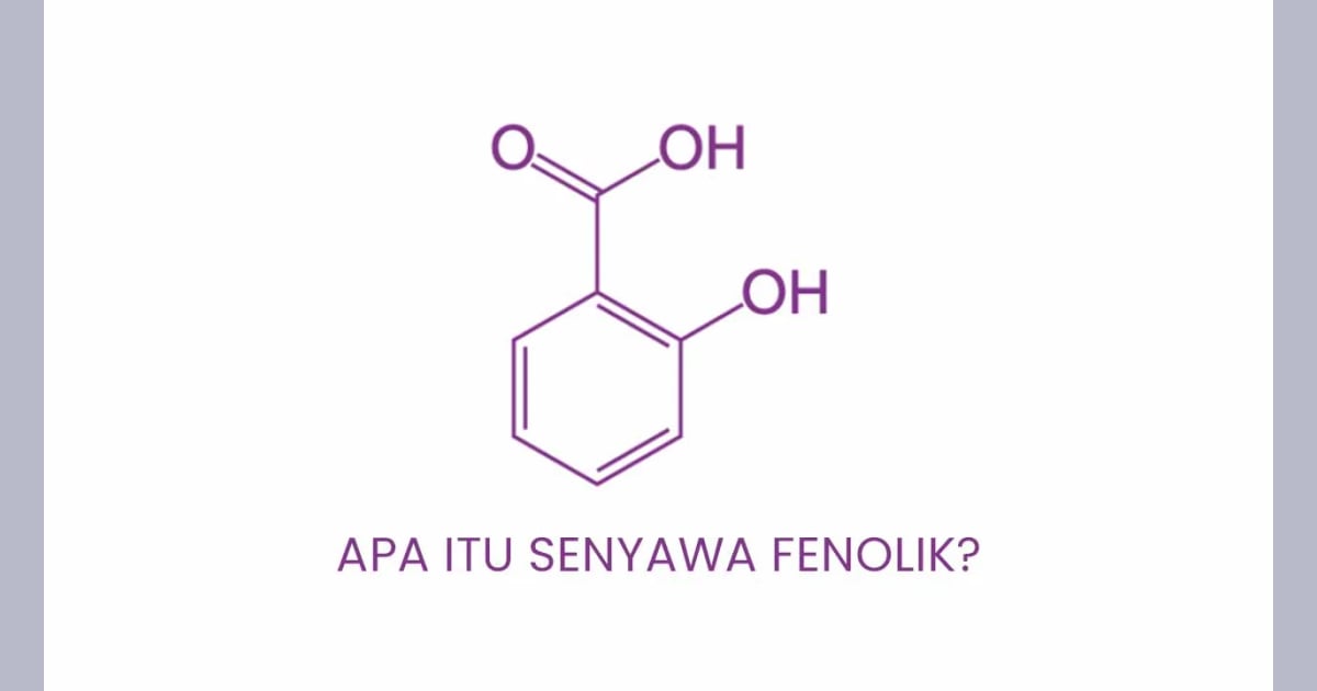 Menguak Rahasia Senyawa Fenol: Sejarah, Karakteristik, Fungsi Esensial, dan Pemanfaatannya dalam Berbagai Bidang - Apa Itu Senyawa