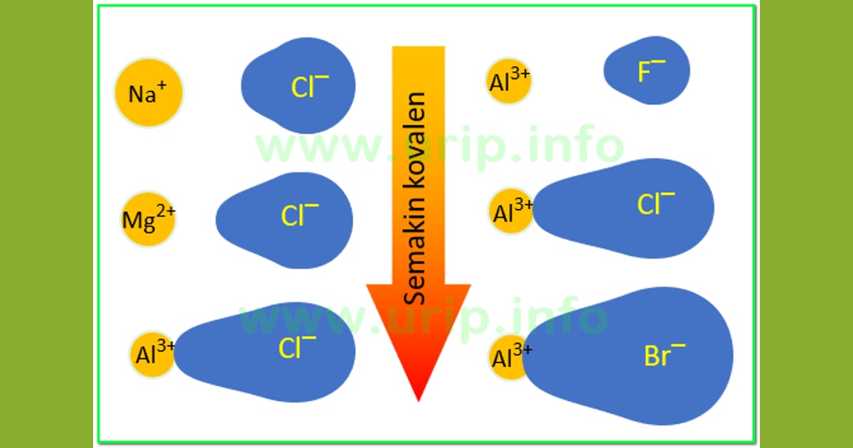 Senyawa Kovalen: Eksplorasi Mendalam Jenis, Karakteristik Unik, Manfaat, dan Contoh Aplikasinya - Contoh Senyawa Ion