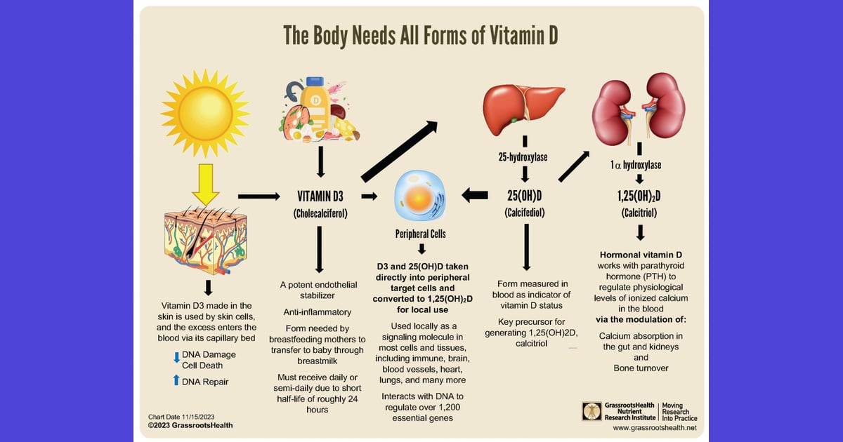 Senyawa Vitamin D: Panduan Lengkap Menguak Sejarah, Karakteristik Esensial, dan Aplikasinya bagi Kesehatan - Understanding the Forms