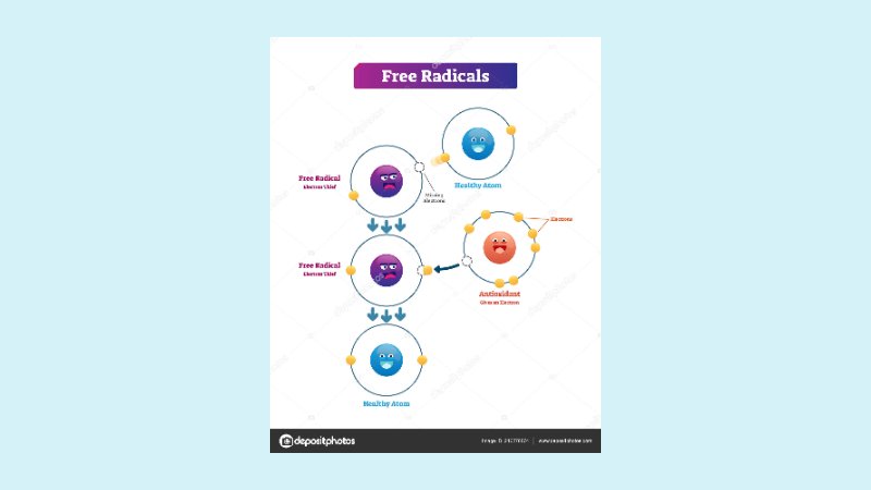 Mekanisme Antioksidan 2