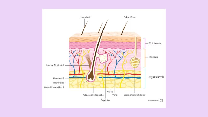 Peran dalam Industri Kosmetik 2