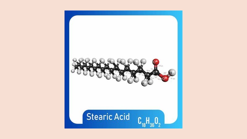 Dampak terhadap Profil Lipid Darah 1