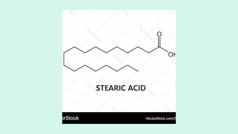 Dampak terhadap Profil Lipid Darah 2