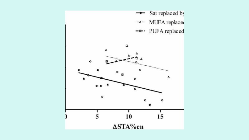 Dampak terhadap Profil Lipid Darah 3