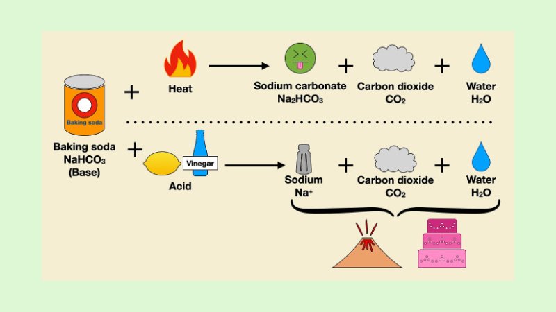Reaksi Pengembang Kue 1