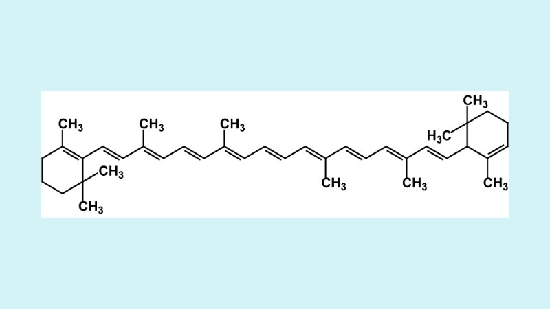 Perbandingan Jenis Karoten Utama 1