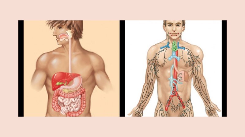 Definisi dan Keberadaan di Alam 2