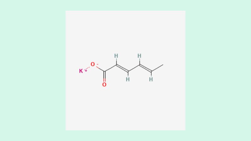 Karakteristik dan Asal Usul 3